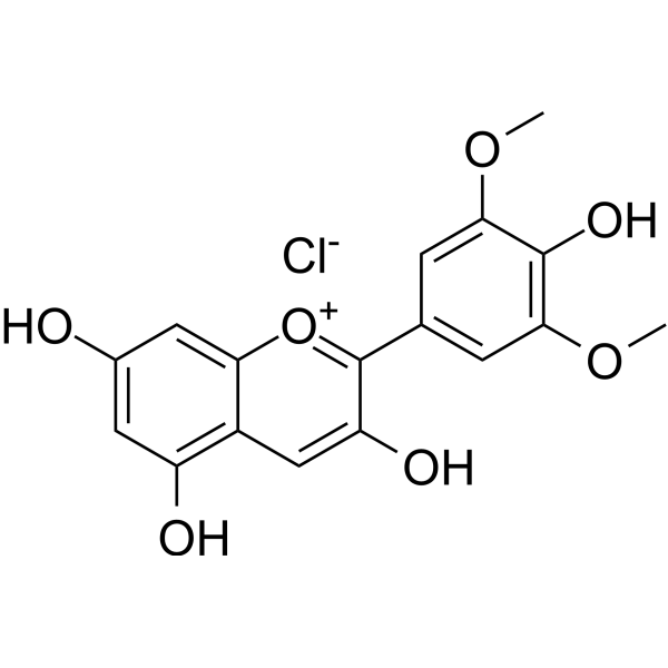 Malvidin chloride (Syringidin) 643-84-5